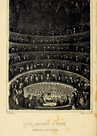 Teatro anatomico di Padova stabilmente eretto nel 1594, Frontispiz aus: Pietro Tosoni, Della Anatomia degli Antichi e della Scuola Anatomica Padovana; padua 1844.